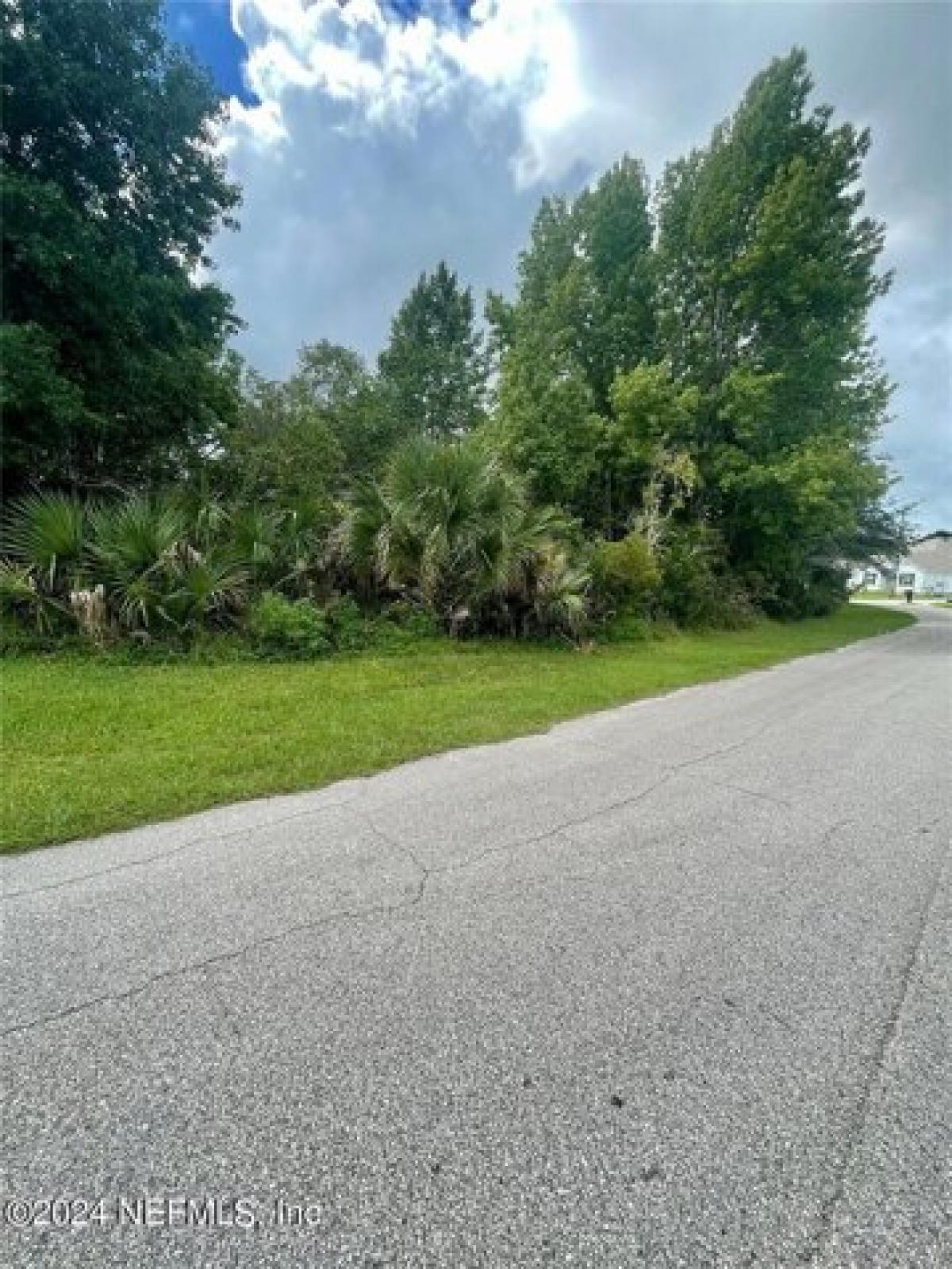 Picture of Residential Land For Sale in Palm Coast, Florida, United States