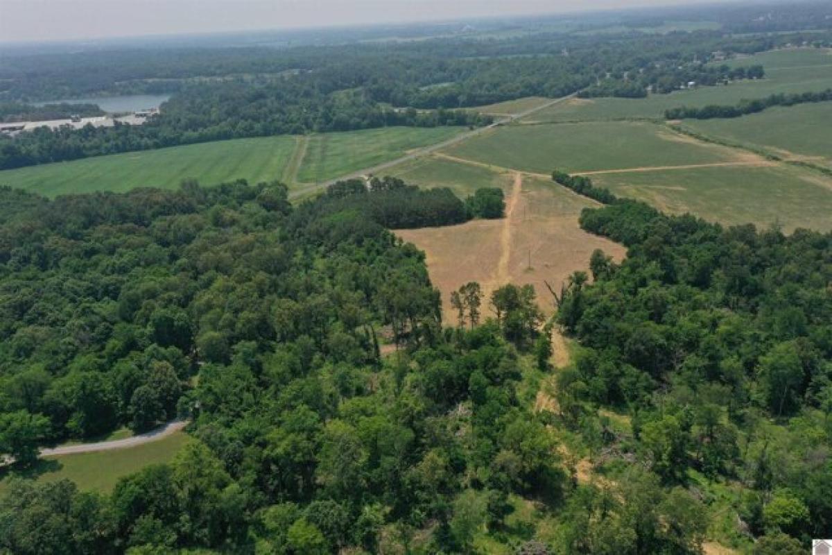 Picture of Residential Land For Sale in Mayfield, Kentucky, United States