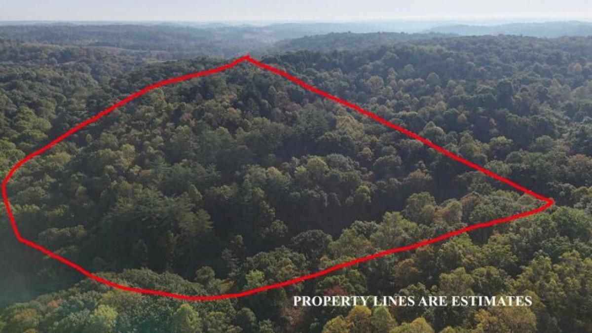 Picture of Residential Land For Sale in Pomeroy, Ohio, United States