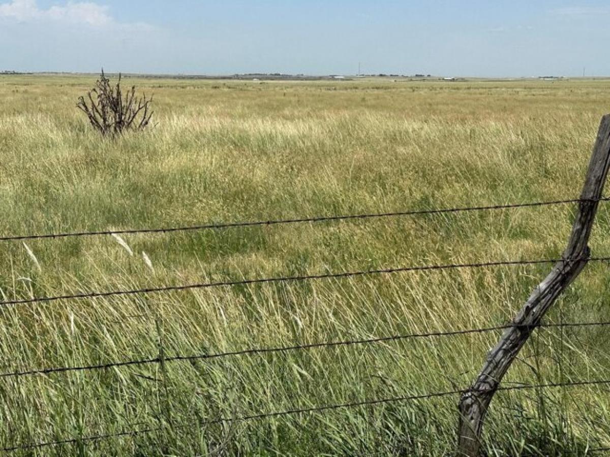 Picture of Residential Land For Sale in Canyon, Texas, United States