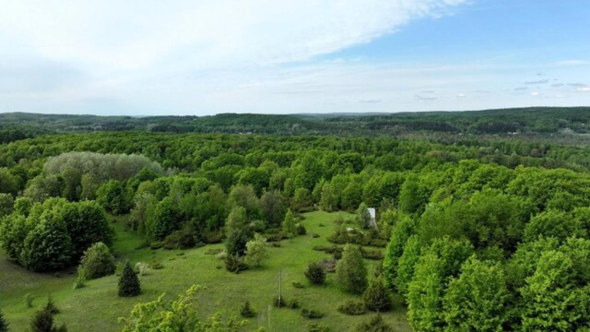 Picture of Residential Land For Sale in East Jordan, Michigan, United States