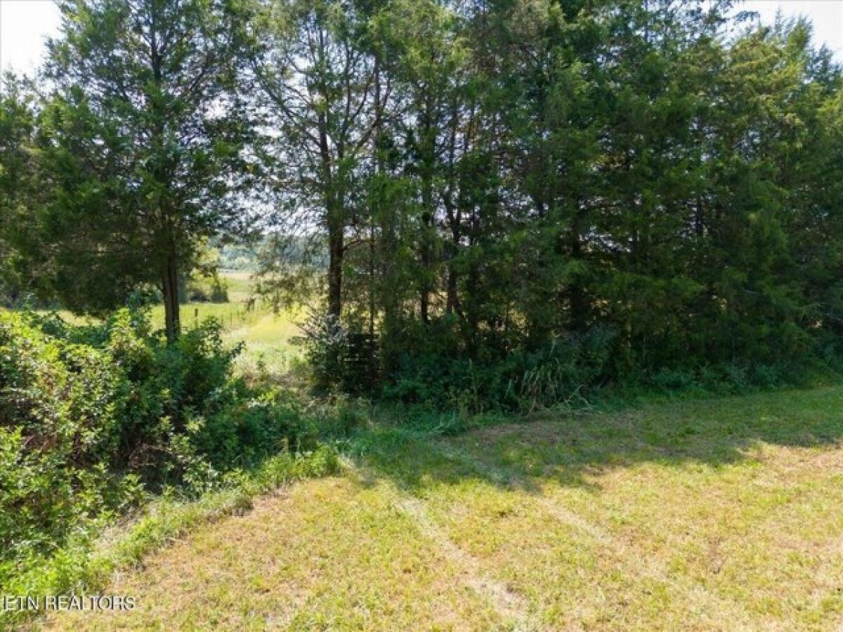 Picture of Residential Land For Sale in Madisonville, Tennessee, United States