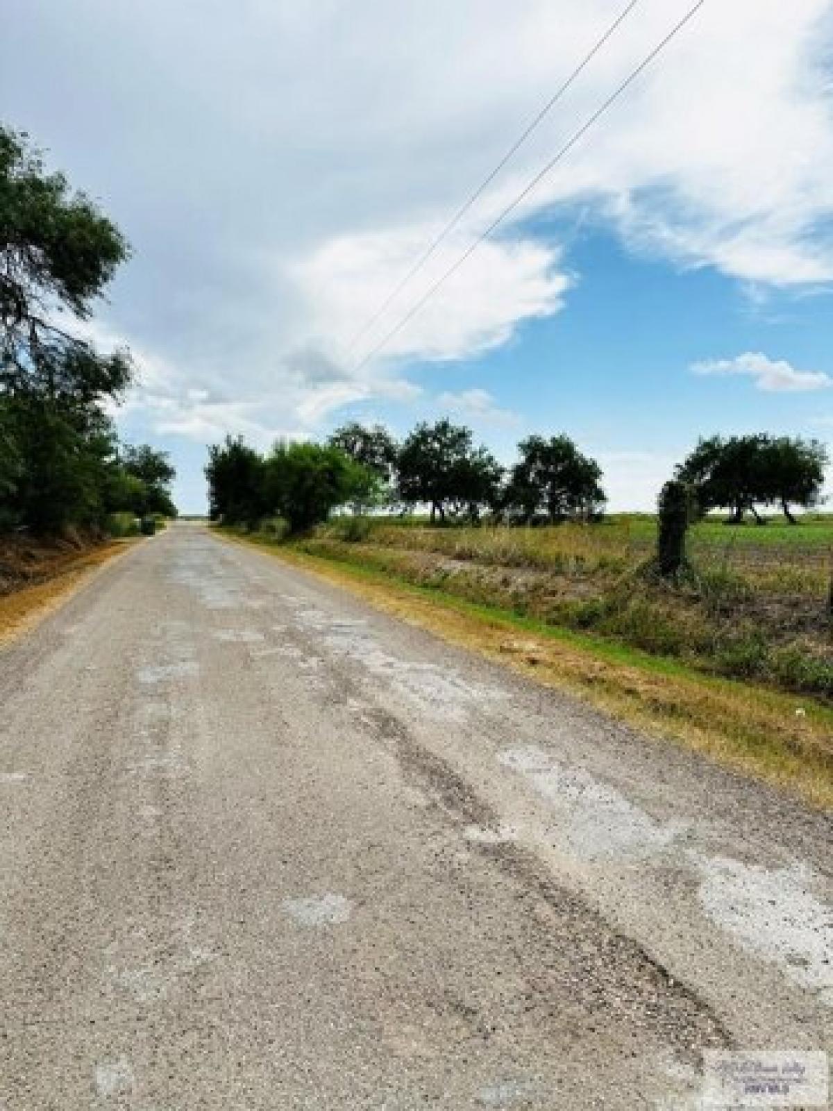 Picture of Residential Land For Sale in San Benito, Texas, United States