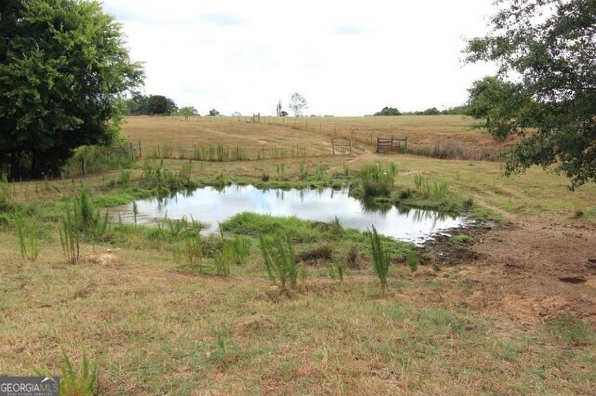 Picture of Residential Land For Sale in Eatonton, Georgia, United States