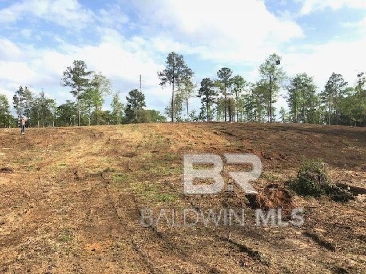 Picture of Residential Land For Sale in Bay Minette, Alabama, United States