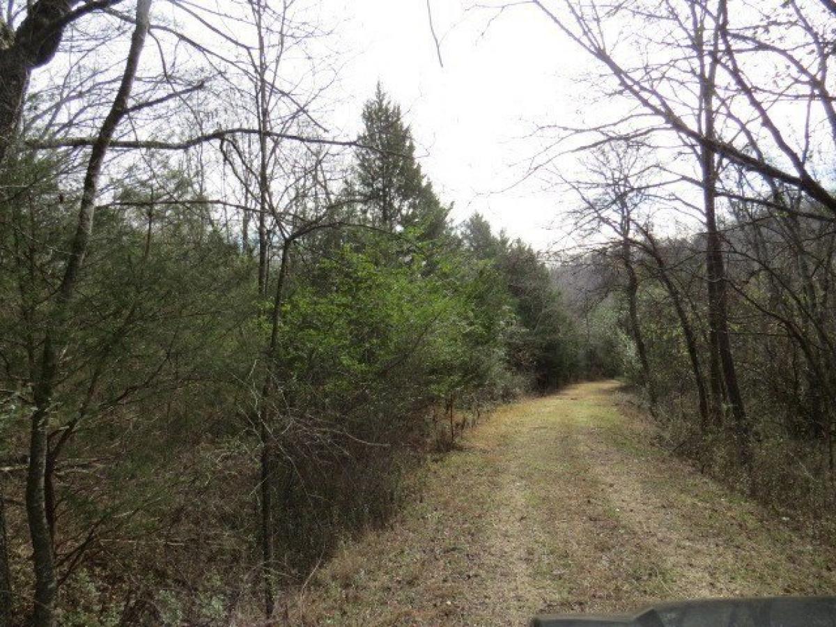 Picture of Residential Land For Sale in Pulaski, Tennessee, United States