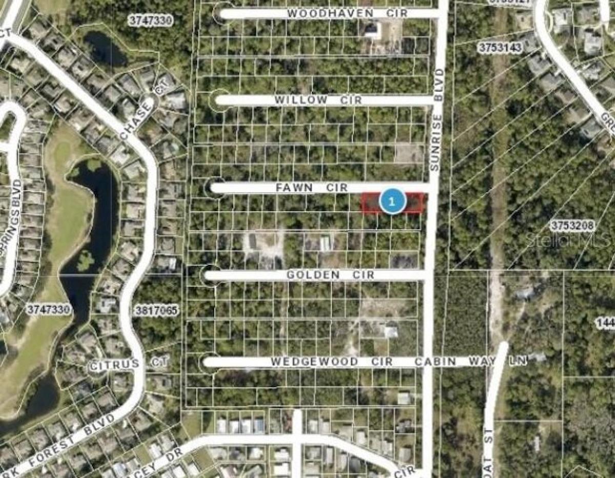 Picture of Residential Land For Sale in Mount Dora, Florida, United States