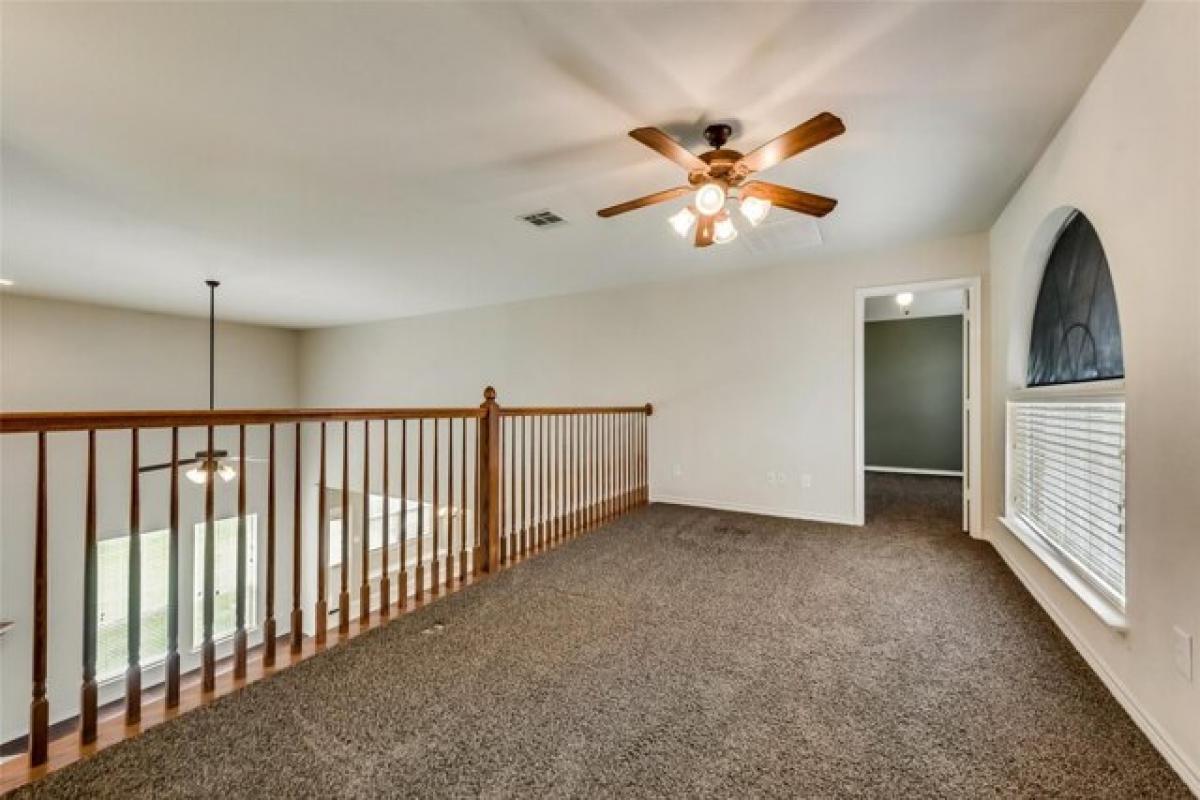 Picture of Home For Rent in McKinney, Texas, United States