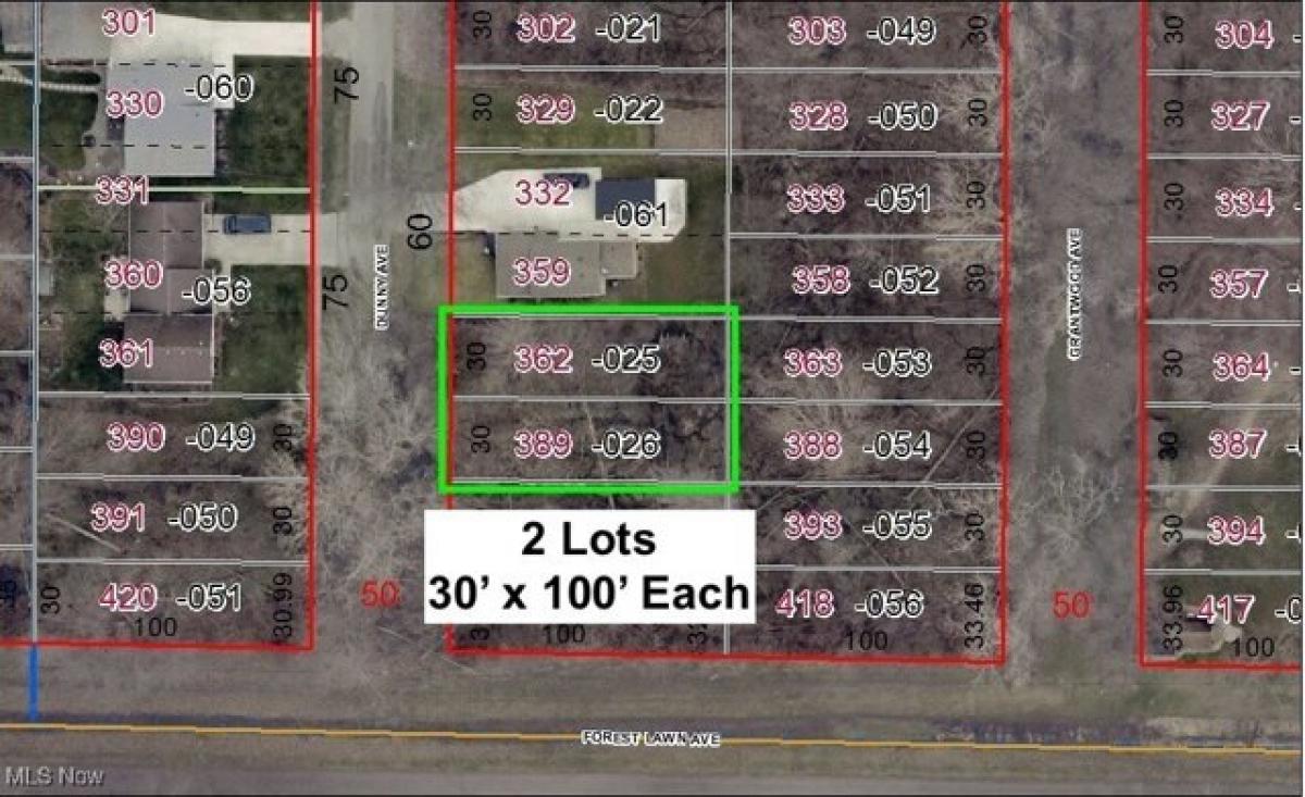 Picture of Residential Land For Sale in Sheffield Lake, Ohio, United States