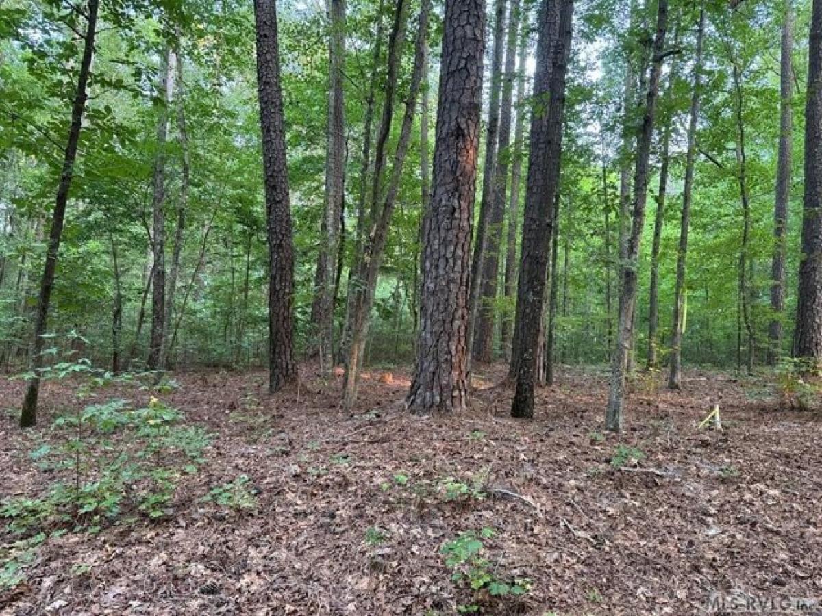 Picture of Residential Land For Sale in Littleton, North Carolina, United States