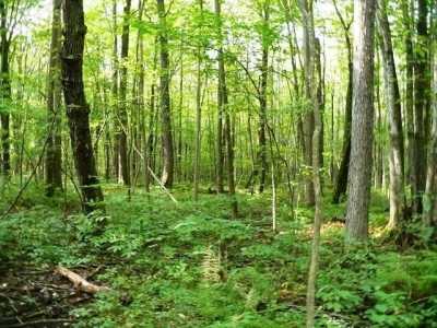 Residential Land For Sale in Greenwood, Wisconsin