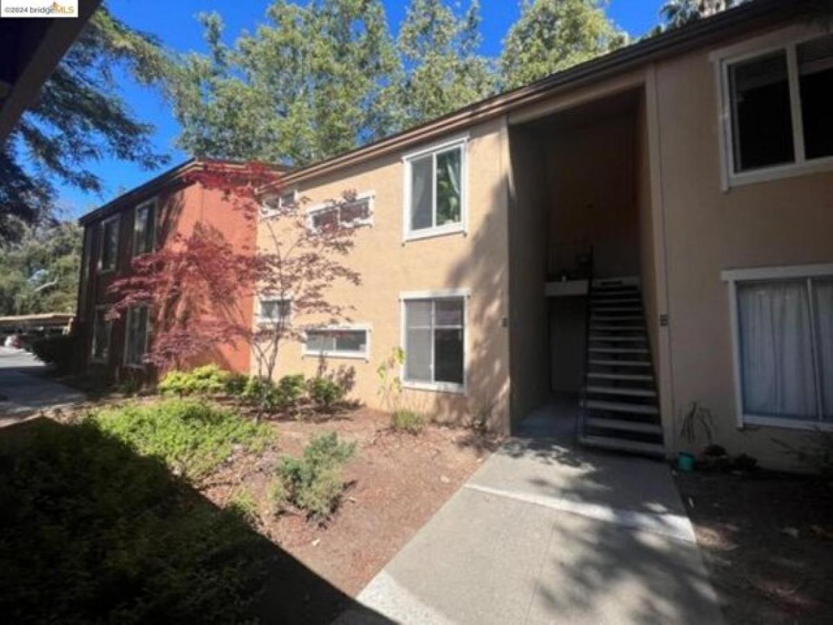 Picture of Apartment For Rent in Concord, California, United States