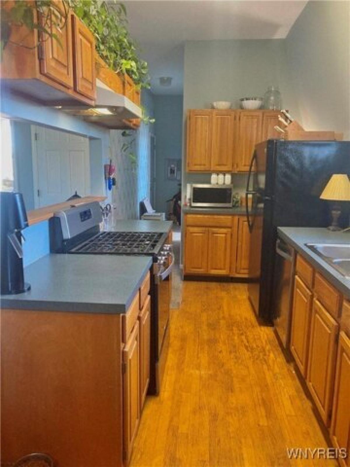 Picture of Apartment For Rent in Buffalo, New York, United States