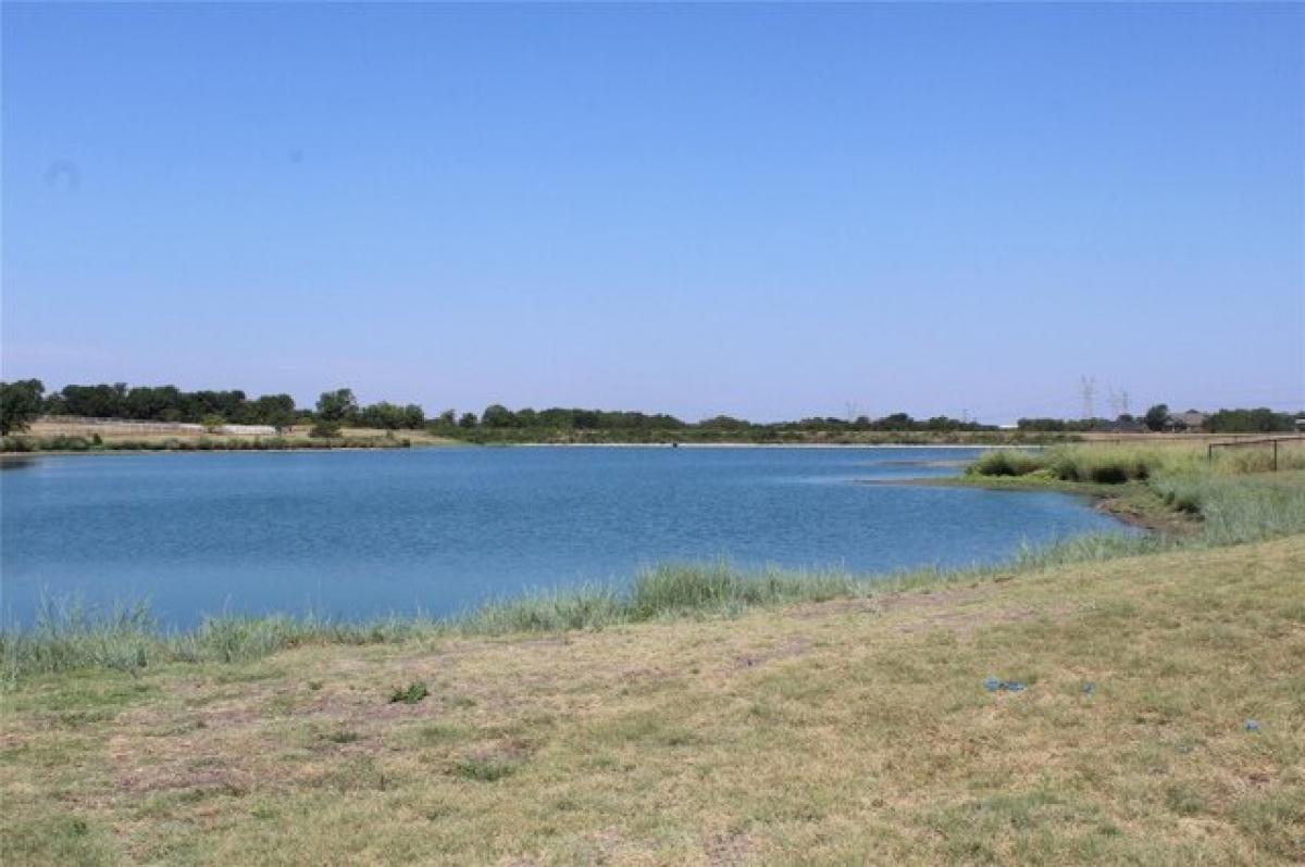 Picture of Residential Land For Sale in Rockwall, Texas, United States