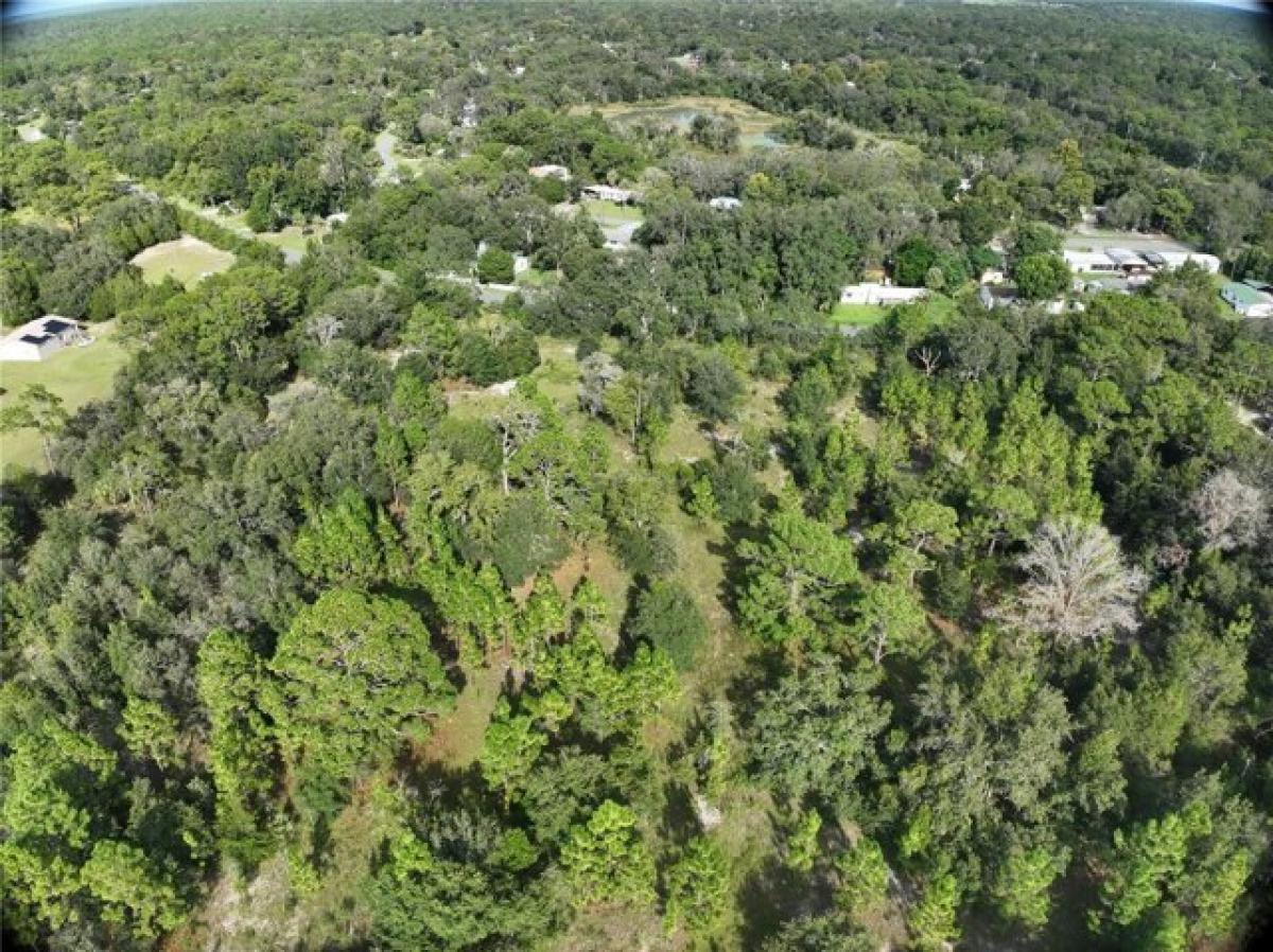 Picture of Residential Land For Sale in Homosassa, Florida, United States