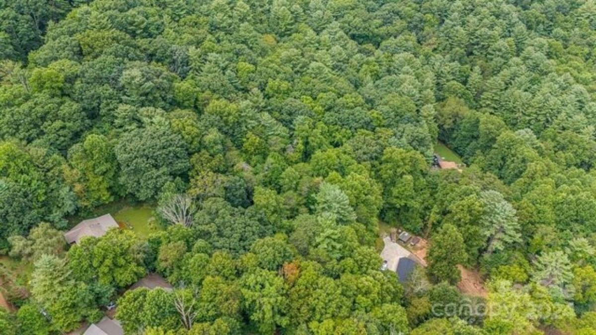 Picture of Residential Land For Sale in Asheville, North Carolina, United States