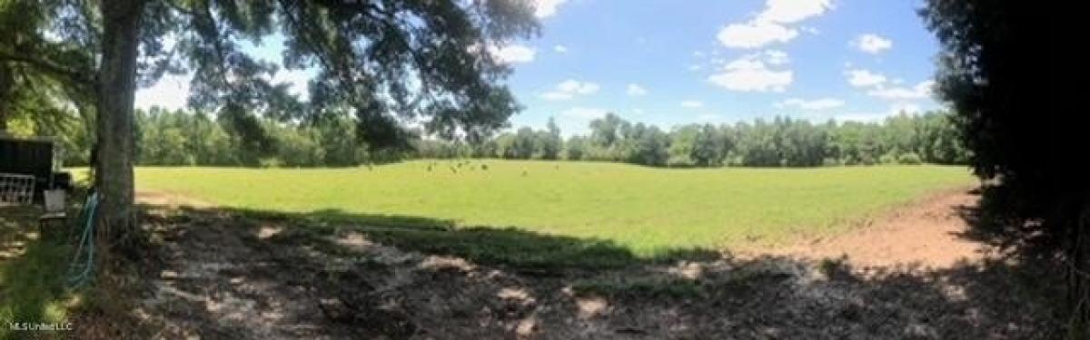 Picture of Residential Land For Sale in Poplarville, Mississippi, United States