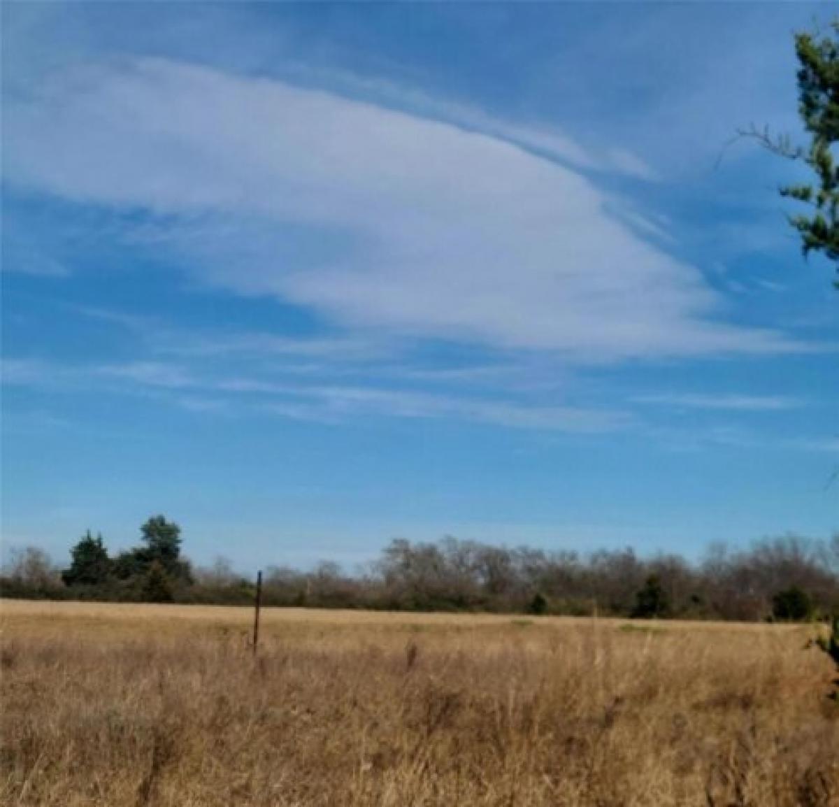 Picture of Residential Land For Sale in Greenville, Texas, United States