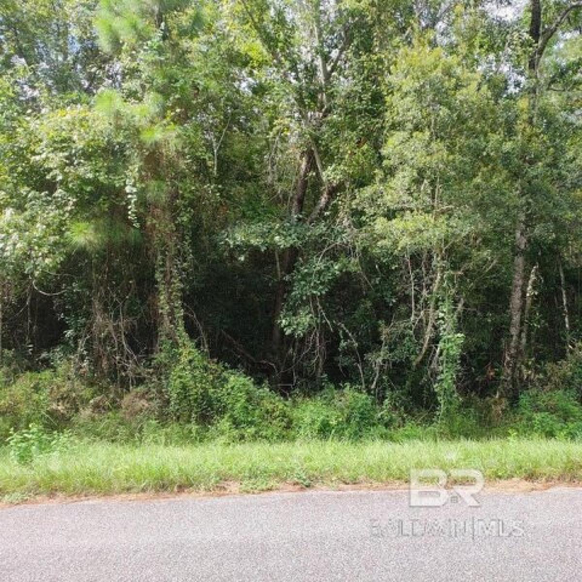 Picture of Residential Land For Sale in Lillian, Alabama, United States