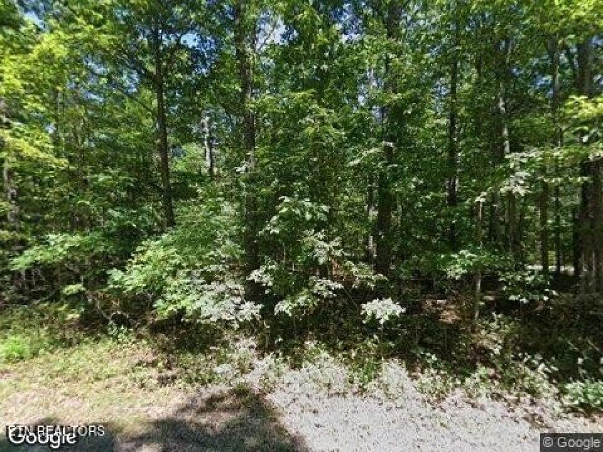 Picture of Residential Land For Sale in Crossville, Tennessee, United States