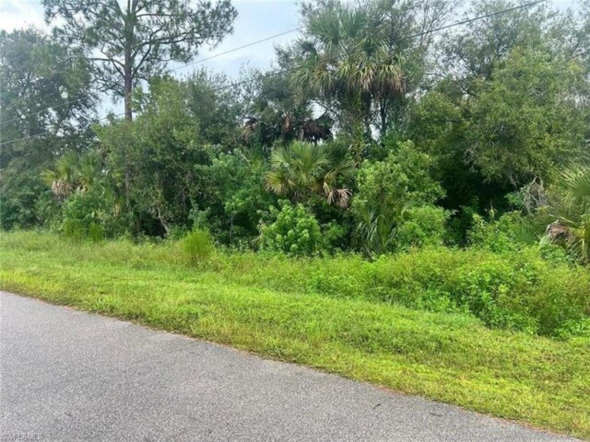 Picture of Residential Land For Sale in Naples, Florida, United States