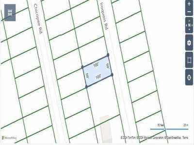 Residential Land For Sale in Crawfordville, Florida