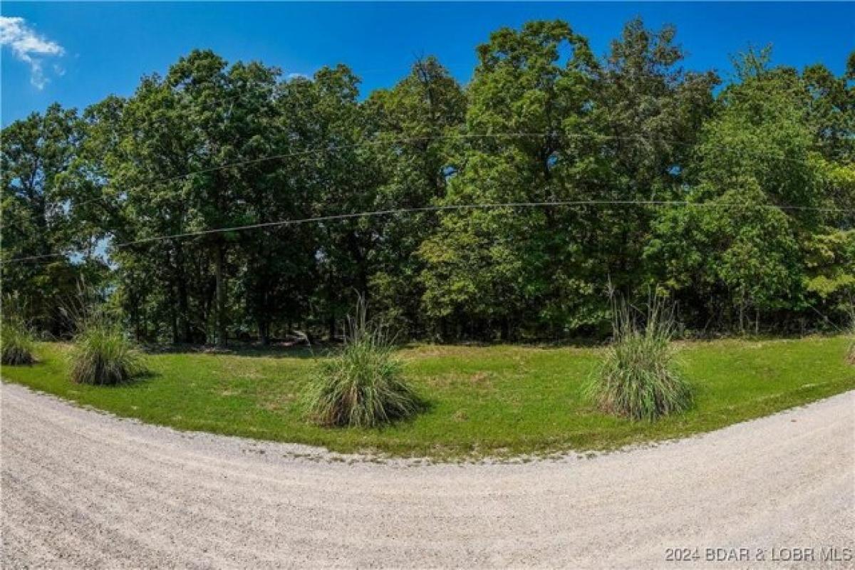 Picture of Residential Land For Sale in Rocky Mount, Missouri, United States