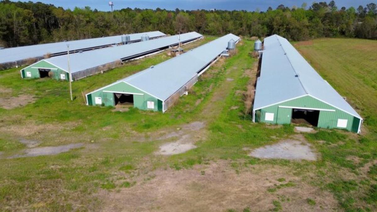 Picture of Residential Land For Sale in Bowman, South Carolina, United States