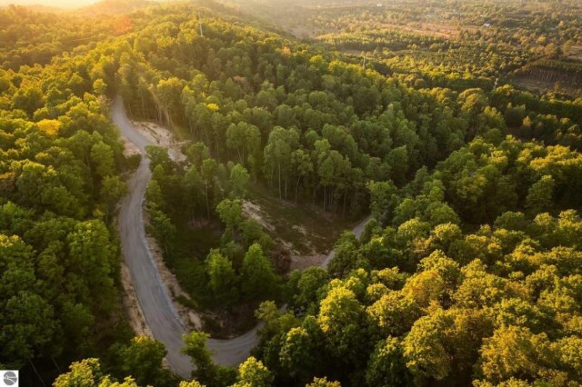 Picture of Residential Land For Sale in Rapid City, Michigan, United States