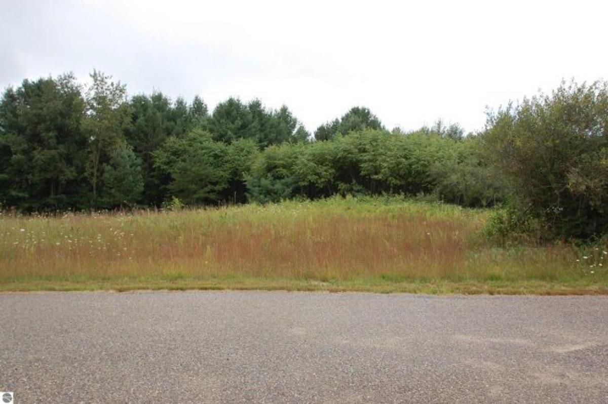 Picture of Residential Land For Sale in West Branch, Michigan, United States