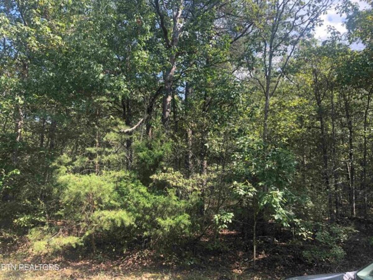 Picture of Residential Land For Rent in Crossville, Tennessee, United States