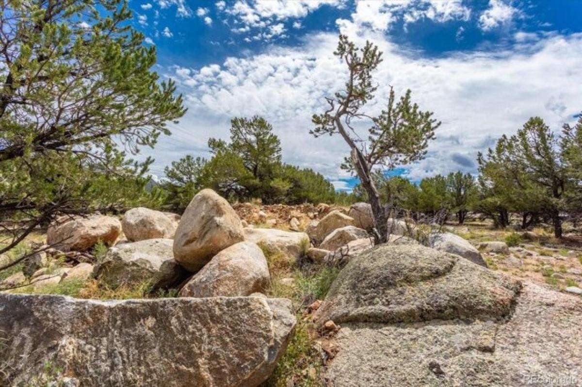 Picture of Residential Land For Sale in Buena Vista, Colorado, United States