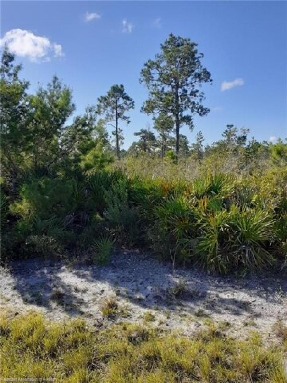 Picture of Residential Land For Sale in Sebring, Florida, United States