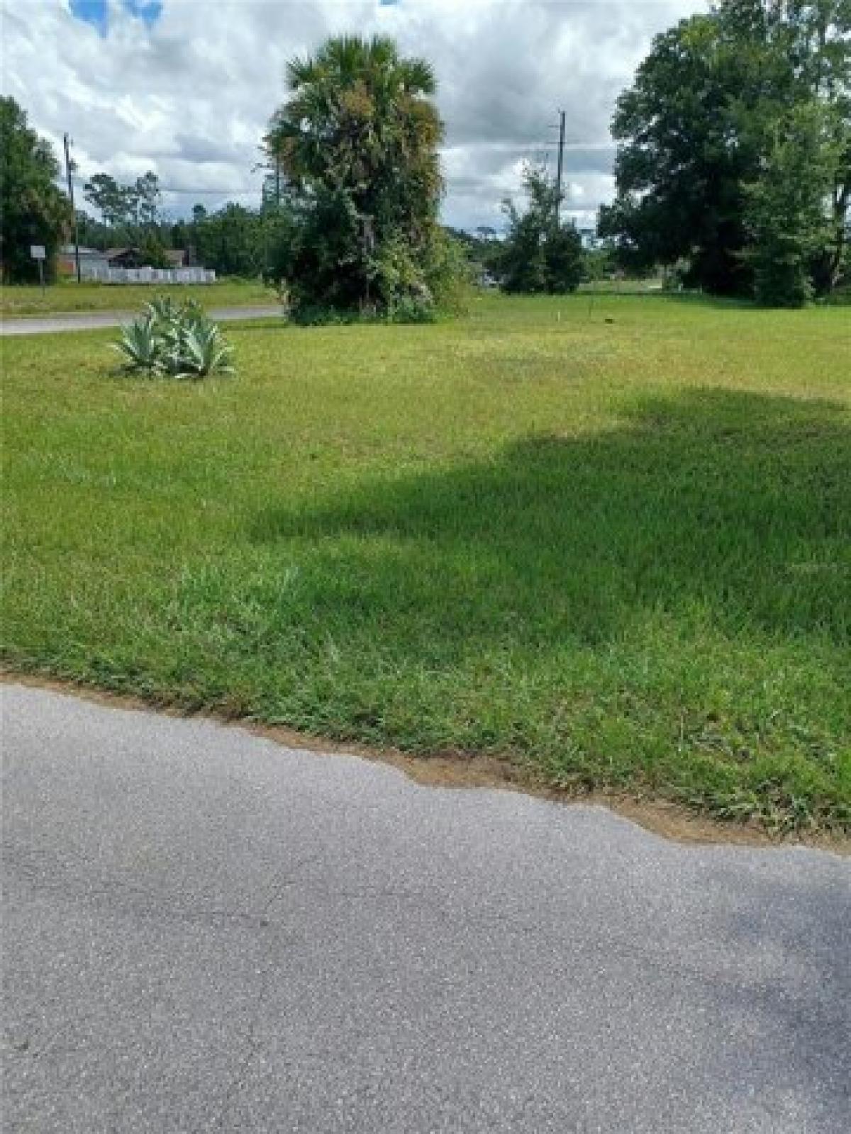 Picture of Residential Land For Sale in Deland, Florida, United States