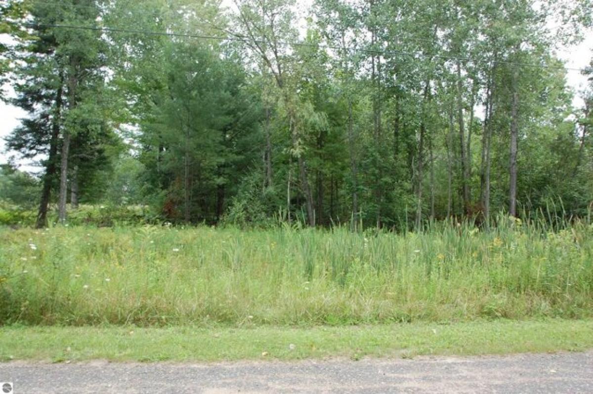 Picture of Residential Land For Sale in West Branch, Michigan, United States