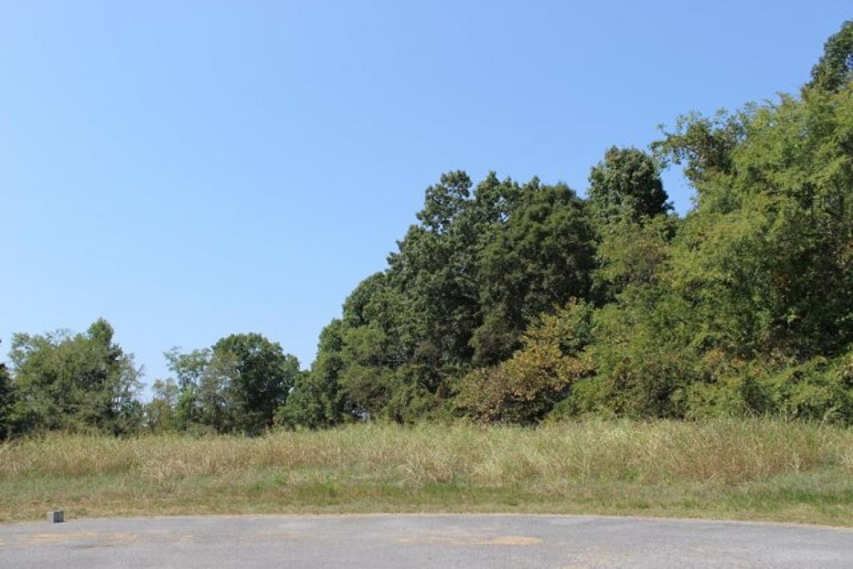 Picture of Residential Land For Sale in Decatur, Tennessee, United States