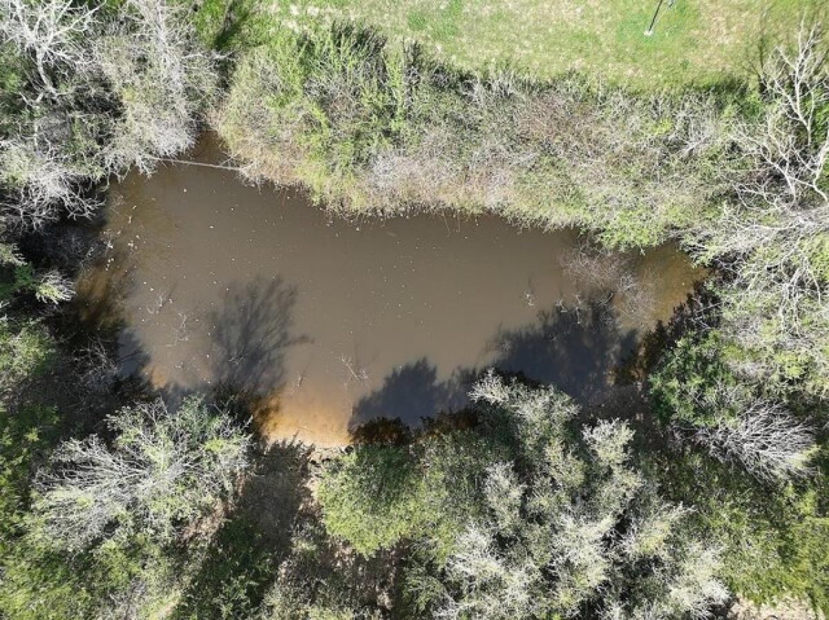 Picture of Residential Land For Sale in Weimar, Texas, United States