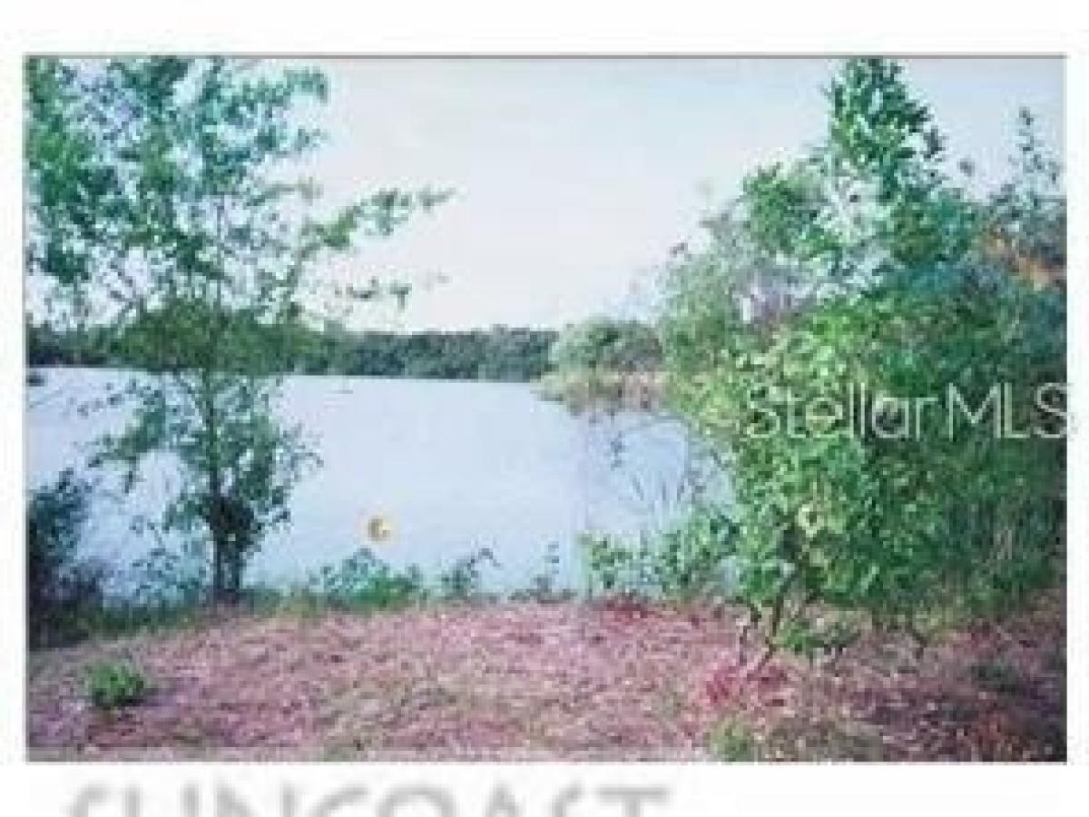 Picture of Residential Land For Sale in Holiday, Florida, United States