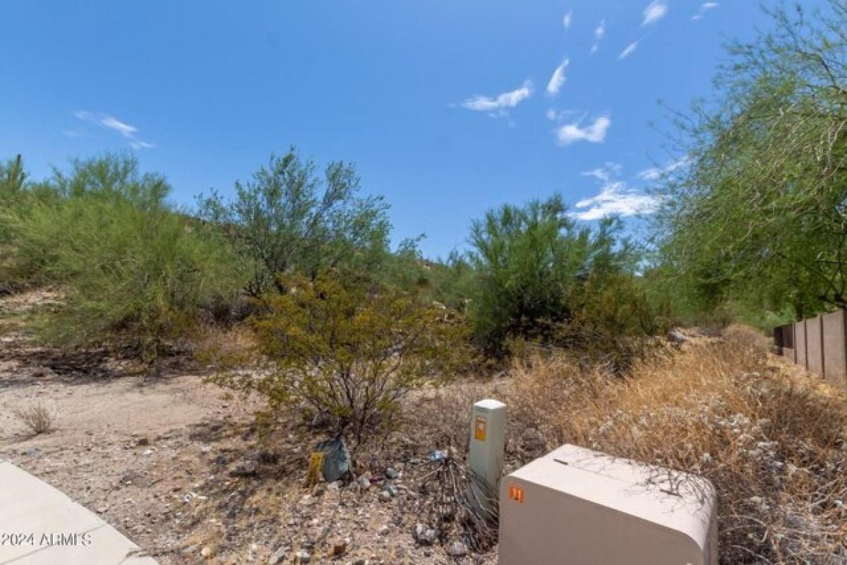 Picture of Residential Land For Sale in Peoria, Arizona, United States