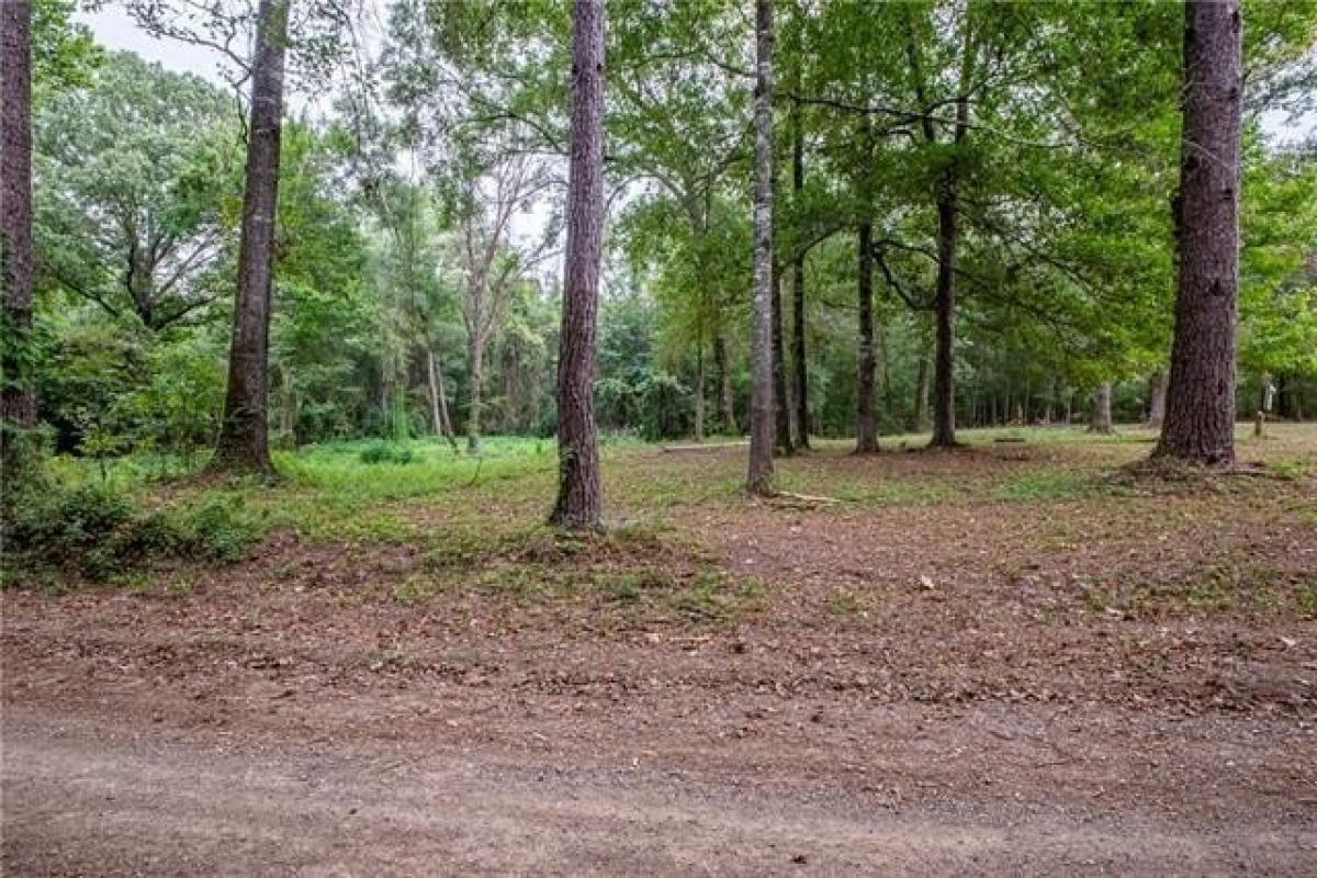 Picture of Residential Land For Sale in Center Point, Louisiana, United States