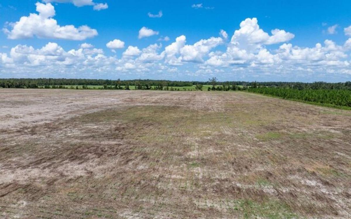 Picture of Residential Land For Sale in Live Oak, Florida, United States