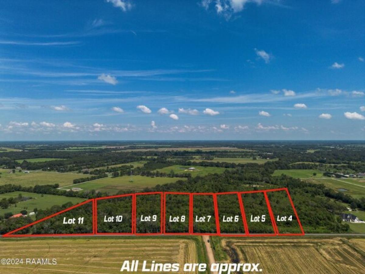 Picture of Residential Land For Sale in Church Point, Louisiana, United States