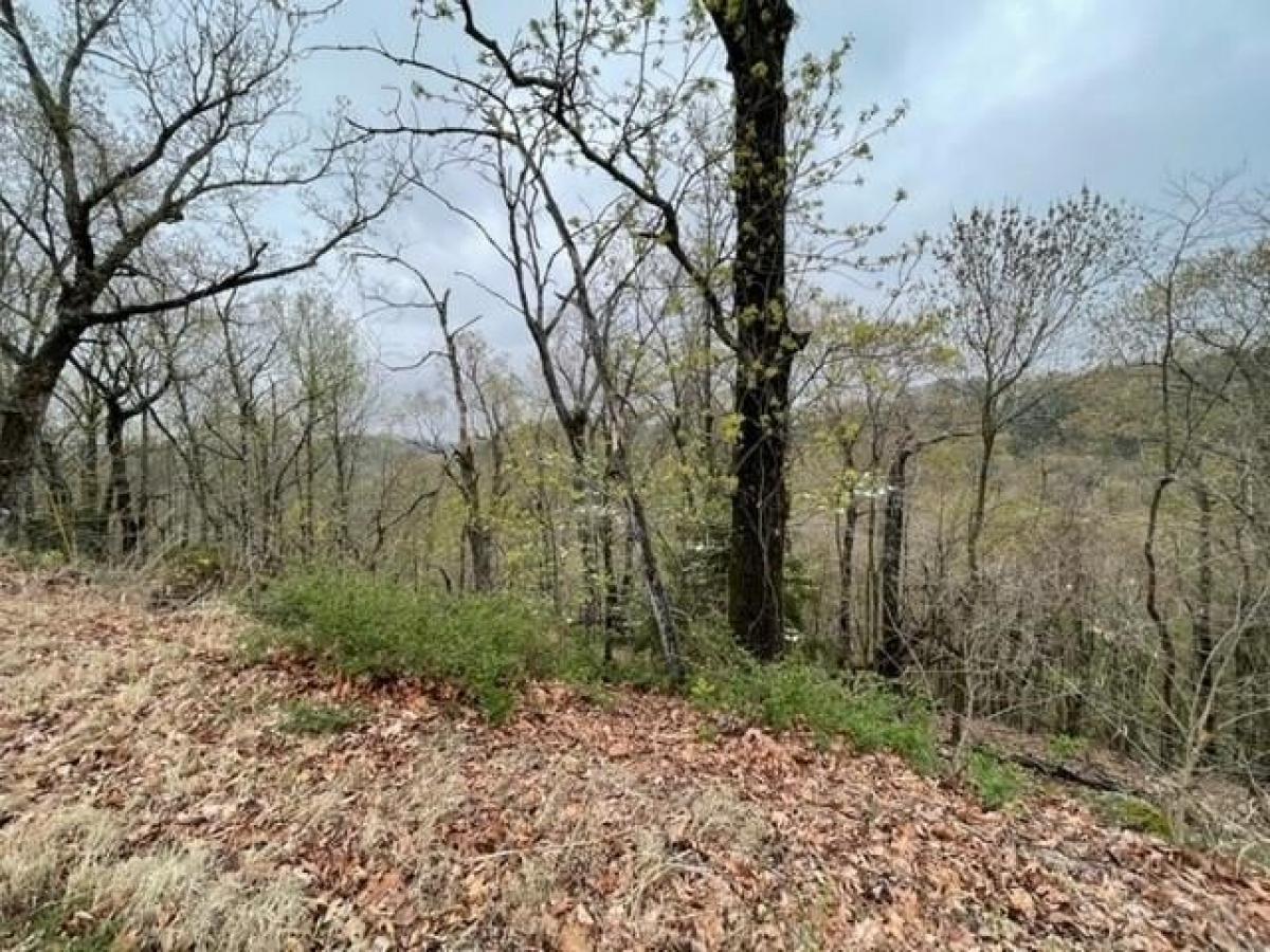 Picture of Residential Land For Rent in Holiday Island, Arkansas, United States