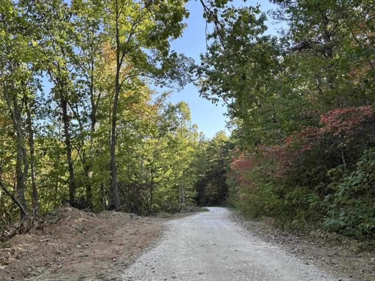 Picture of Residential Land For Sale in Hitchins, Kentucky, United States