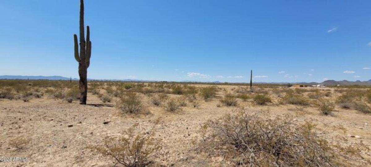 Picture of Residential Land For Sale in Wittmann, Arizona, United States