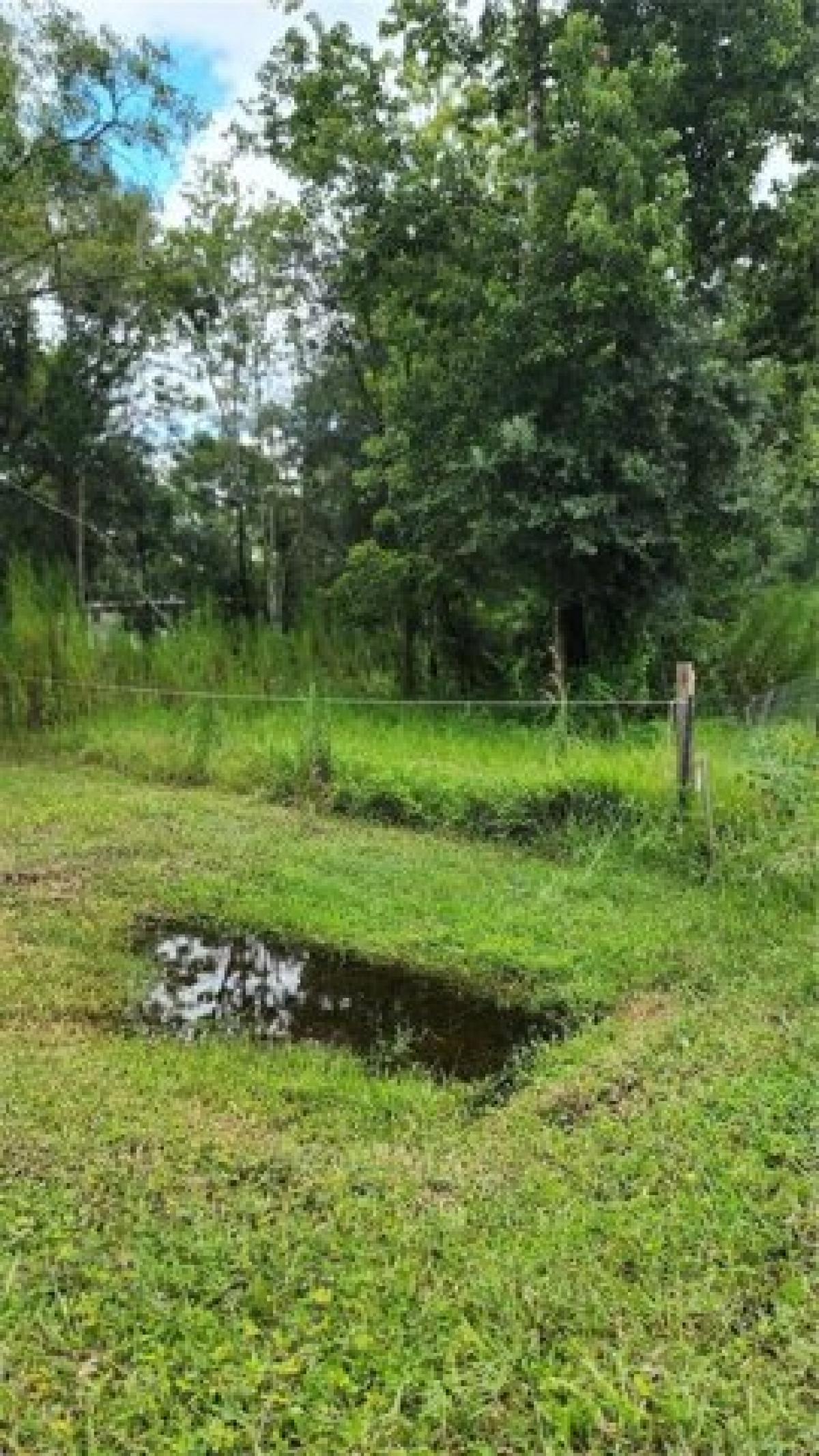 Picture of Residential Land For Sale in Orlando, Florida, United States