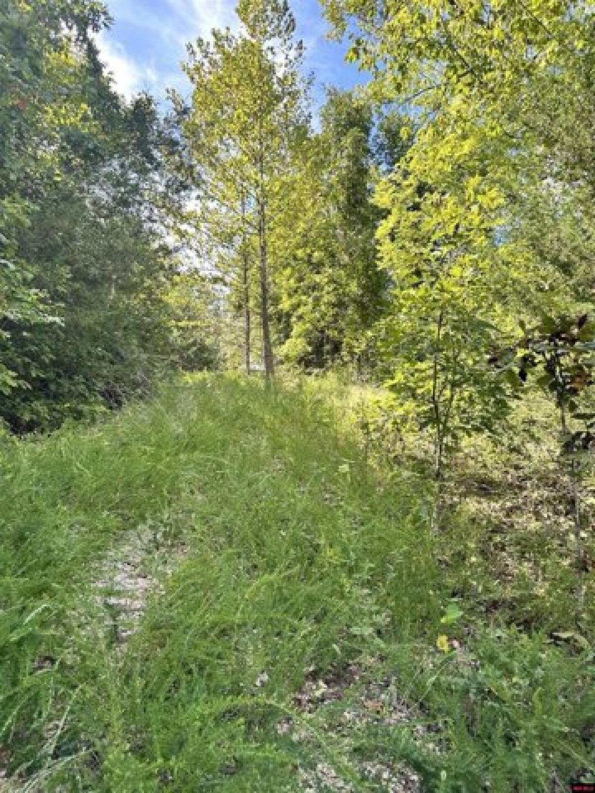 Picture of Residential Land For Sale in Pyatt, Arkansas, United States