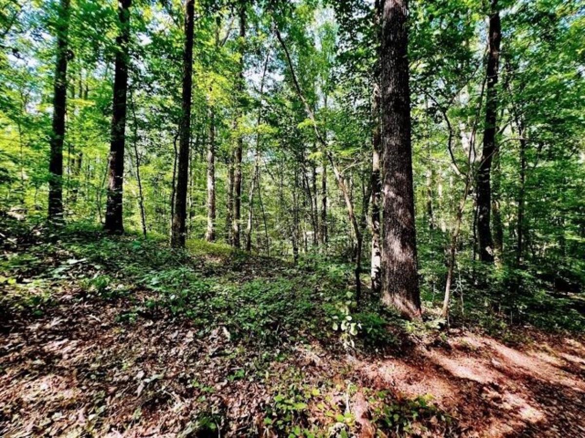 Picture of Residential Land For Sale in Roopville, Georgia, United States