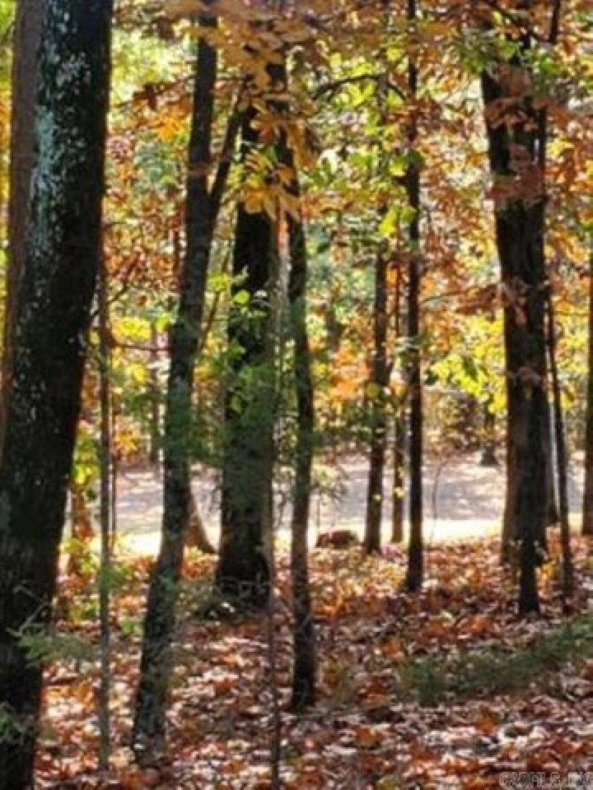 Picture of Residential Land For Sale in Fairfield Bay, Arkansas, United States