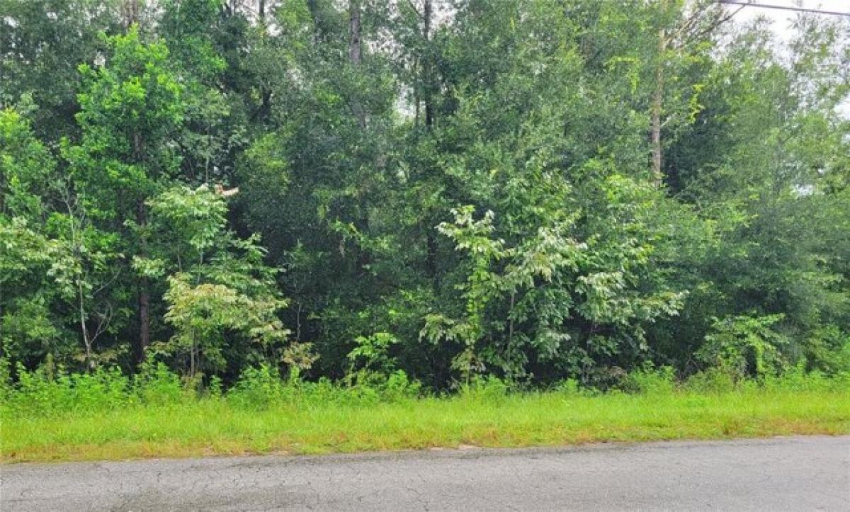 Picture of Residential Land For Sale in Dade City, Florida, United States